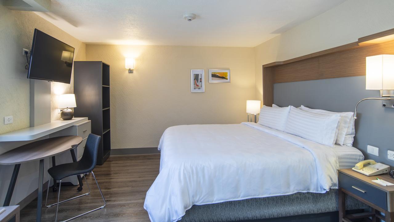 Holiday Inn Mexico Coyoacan Экстерьер фото